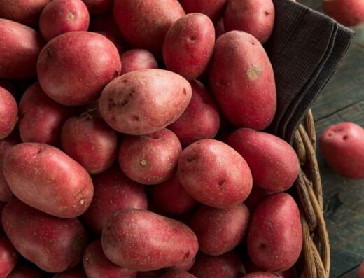 Sagra della Patata Rossa di Colfiorito