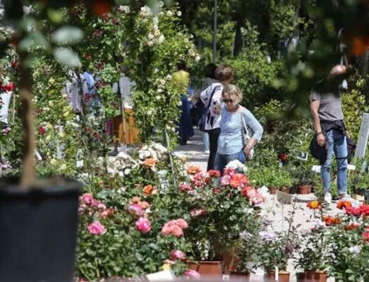 Perugia Flower Show