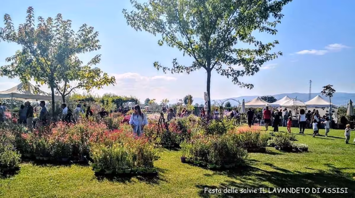 Festa delle Salvie e dell&rsquo;Autunno