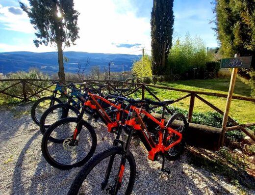 Noleggio e-Bike