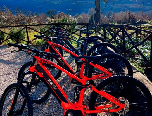 Noleggio e-Bike