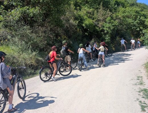 Renty bike