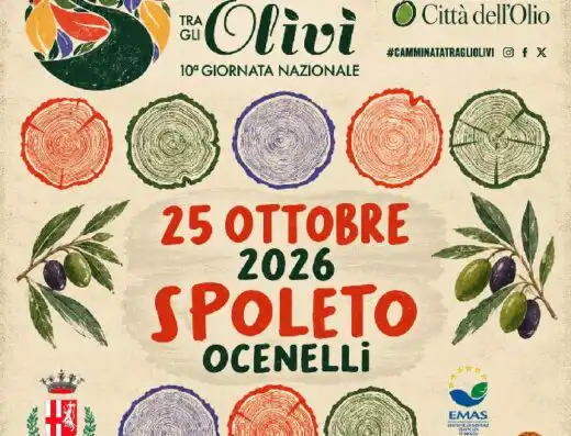 Camminata tra gli Olivi