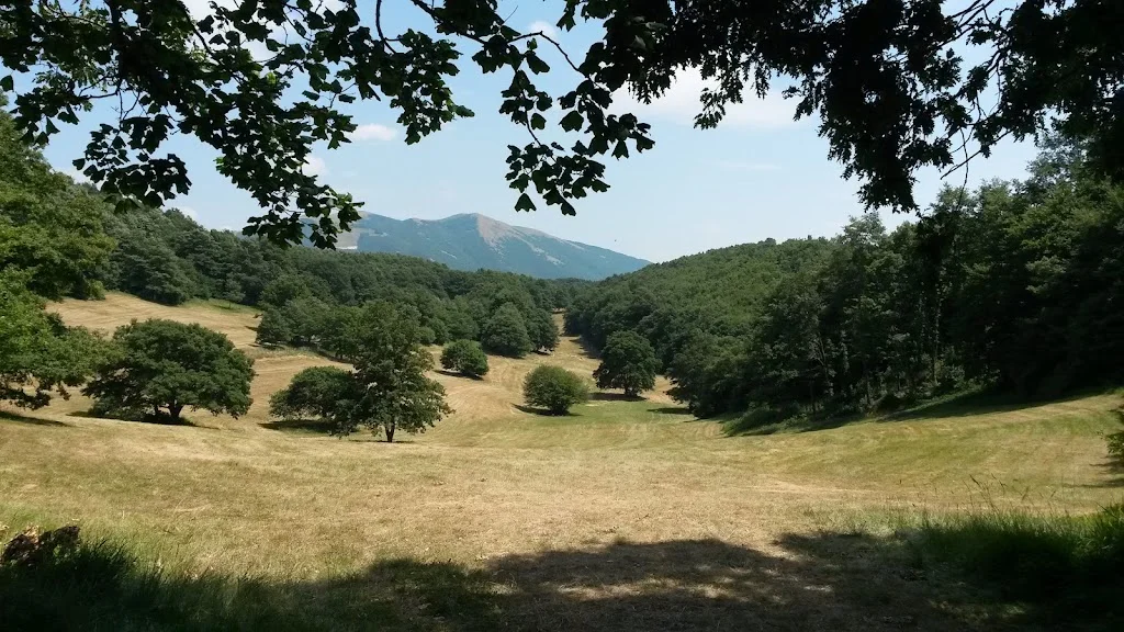 Pian Delle Stelle